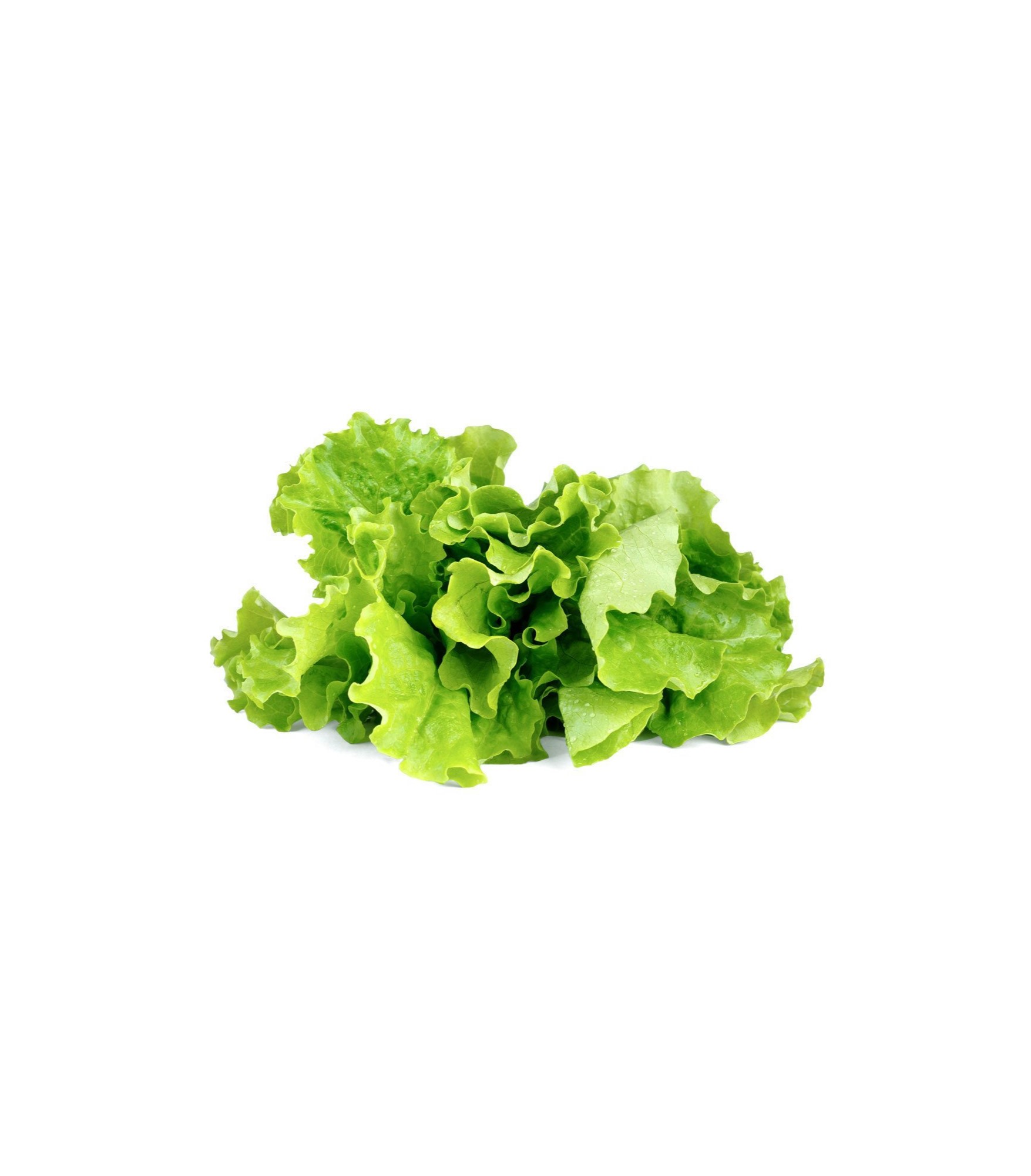 3-Pack Click and Grow Smart Garden Green Lettuce Plant Pods 