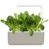 Romaine Lettuce 3-Pack plant pods for Smart Garden