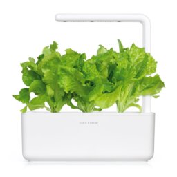 Green lettuce 3-Pack plant pods for Smart Garden