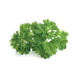Parsley 3-Pack plant pods for Smart Garden