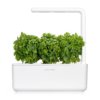 Basilic Nain 3-Pack plantes pods pour Smart Garden