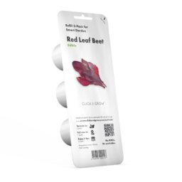 Red Leaf Beet 3-Pack plants pods for Smart Garden